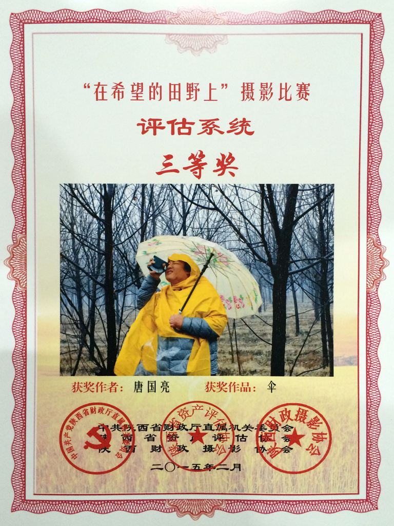 ����ף�س���������˾�������������Ӱ����������֯��